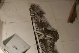 龙湾卫生间漏水检测电话